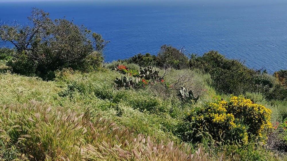3 Palms Scenic Overlook