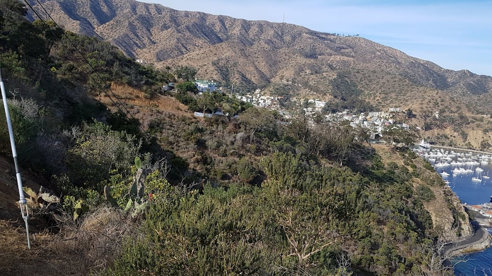 3 Palms Scenic Overlook