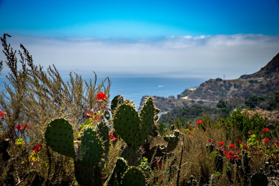 3 Palms Scenic Overlook