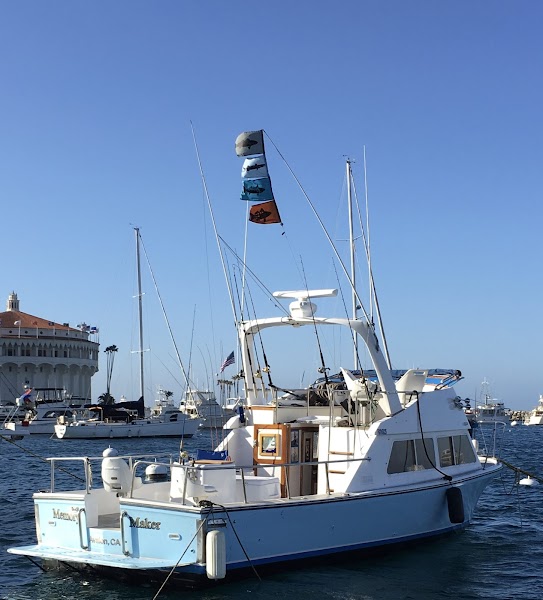 Adam's Memory Maker Fishing Charters