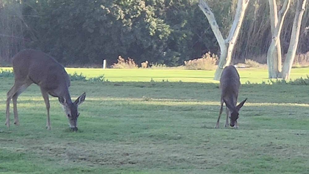 Admiral Baker Golf Course