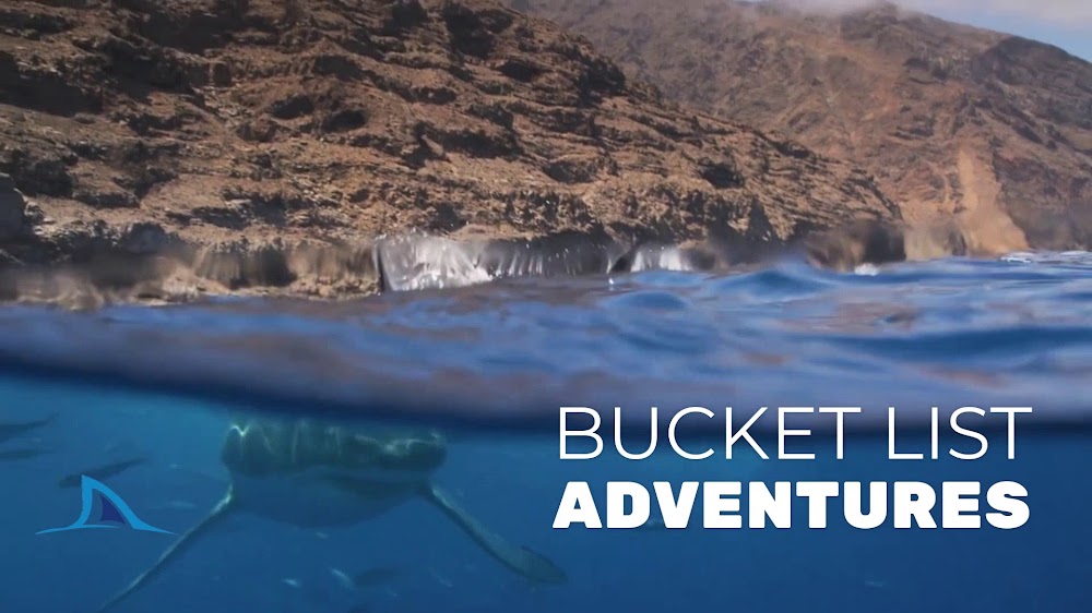 America's Sportfishing Boat | San Diego Sportfishing Charters