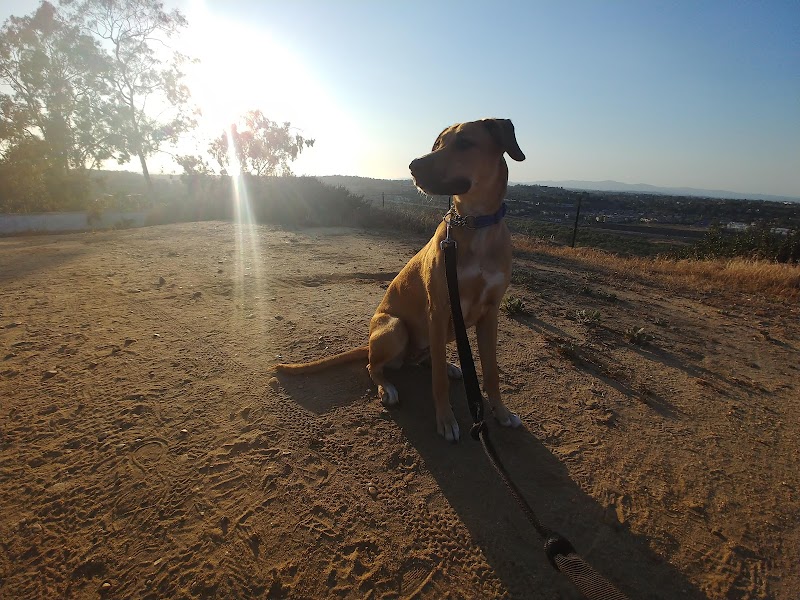 Ann D. L'Heureux Dog Park