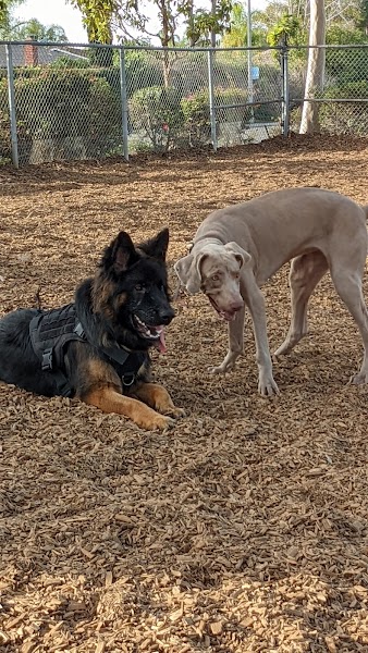 Ann D. L'Heureux Dog Park