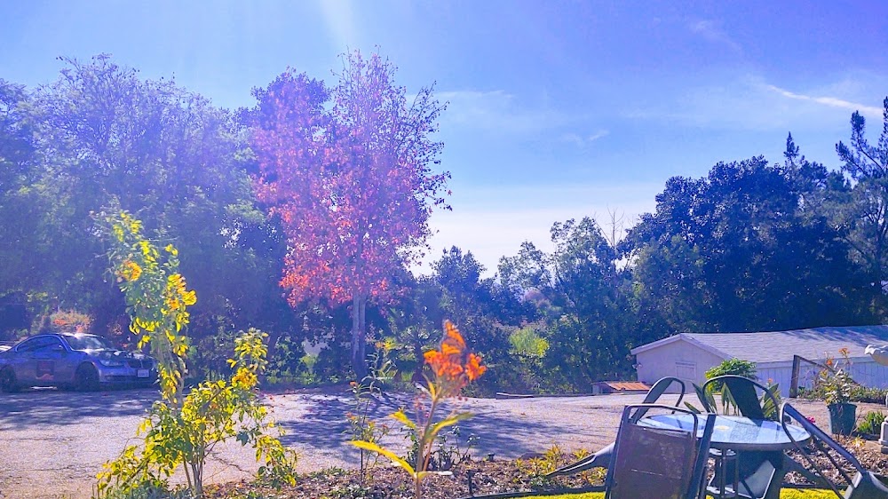 Anne's Place Assisted Living ~ Board & Care