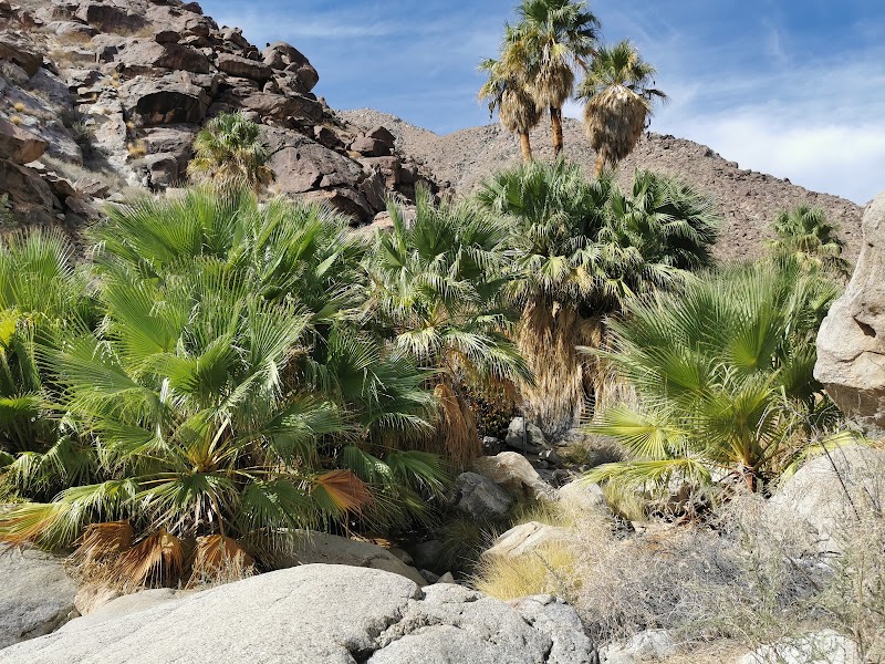Anza-Borrego Desert State Park Visitor Center