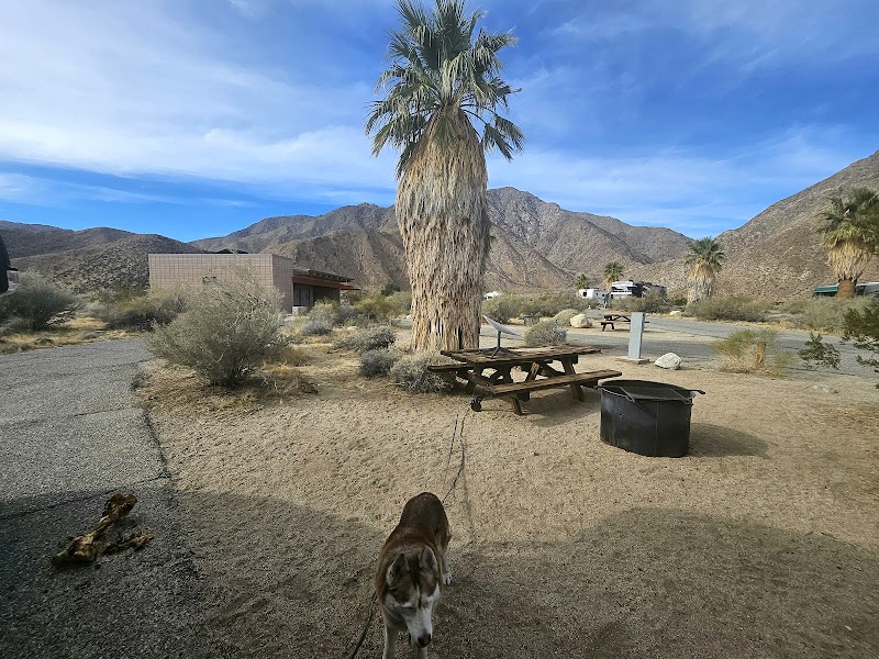 Anza-Borrego State Park Campground
