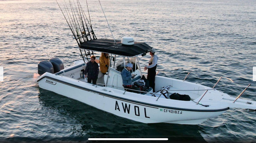 Awol Sportfishing