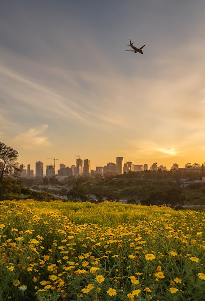 Balboa Park Golf Course Driving Range