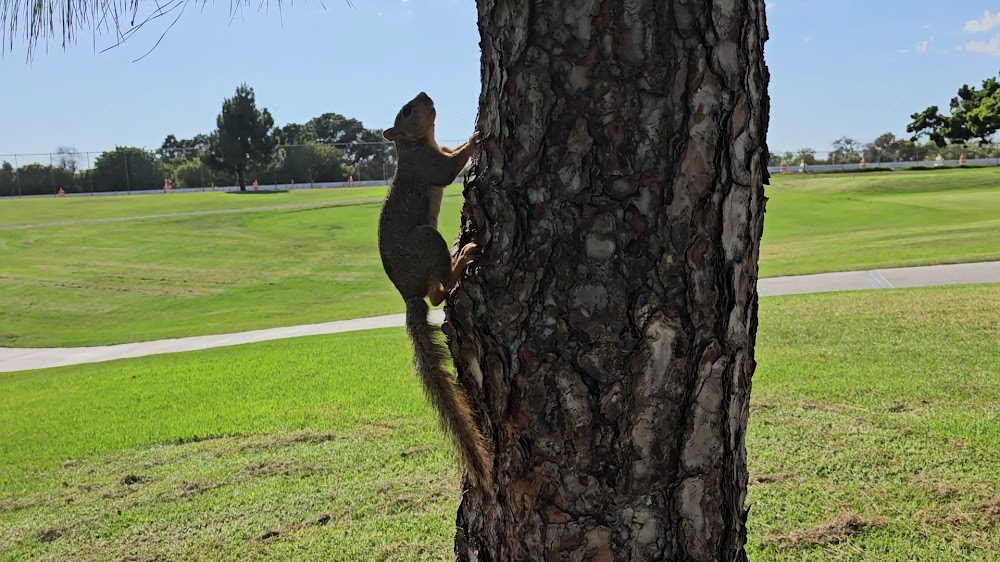Balboa Park Golf Course