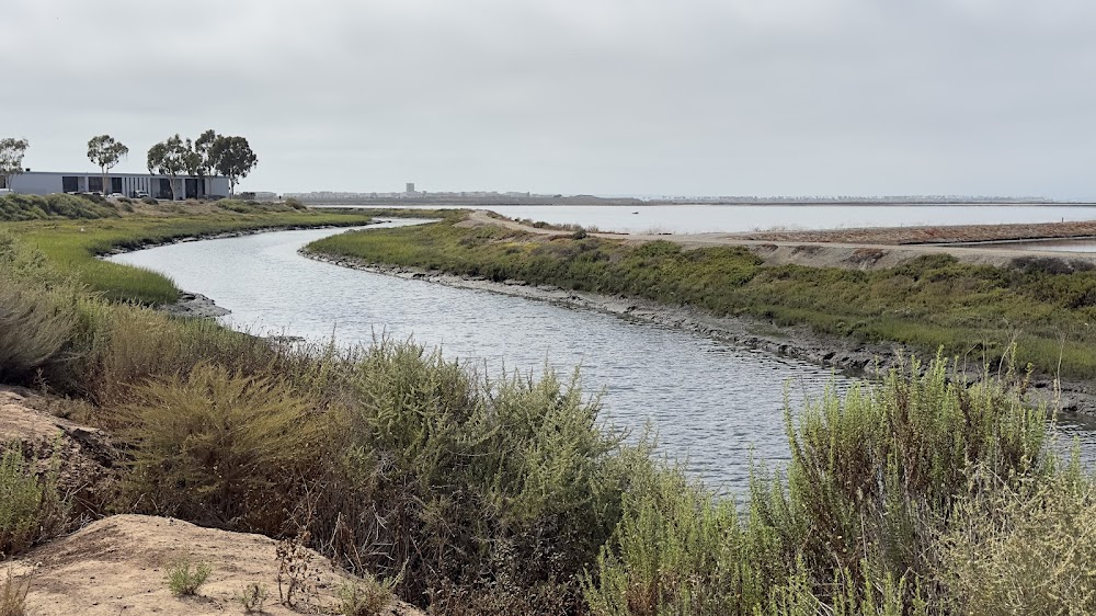 Bayshore View Across Wildlife Refuge To Coronado Bridge