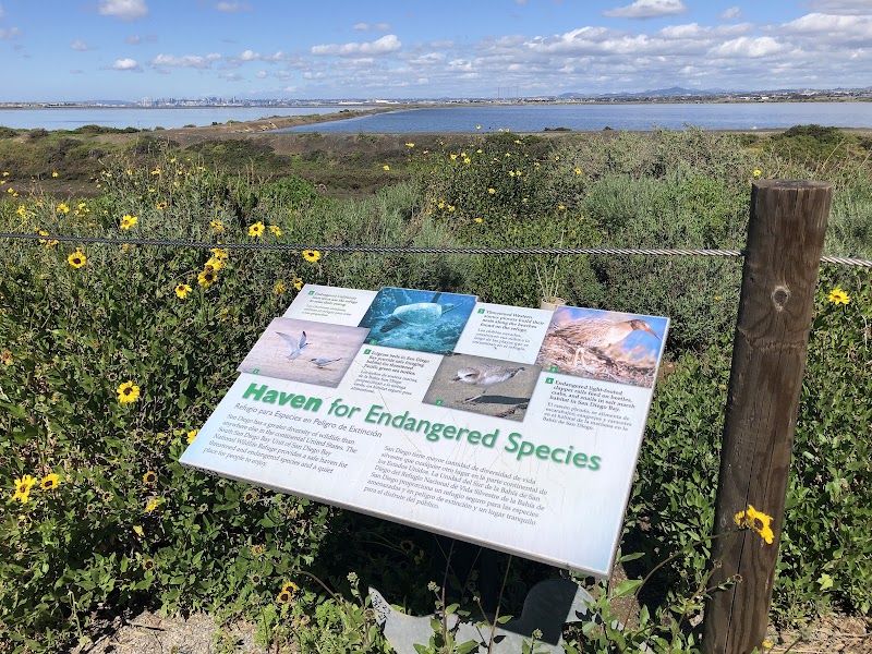 Bayshore View Across Wildlife Refuge To Coronado Bridge