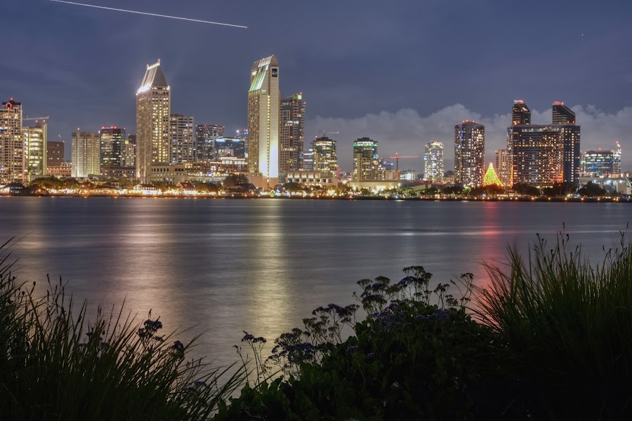 Bayview Park