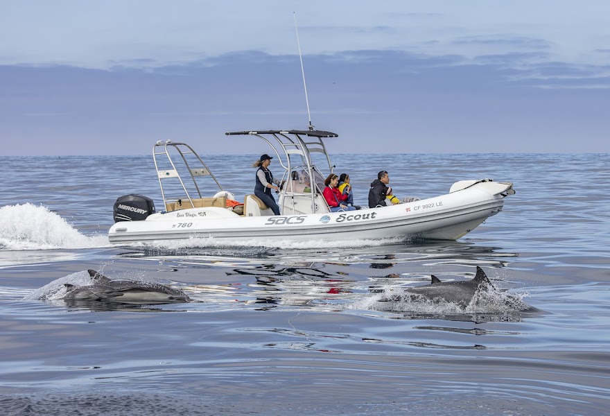 Big Blue Photo Boat