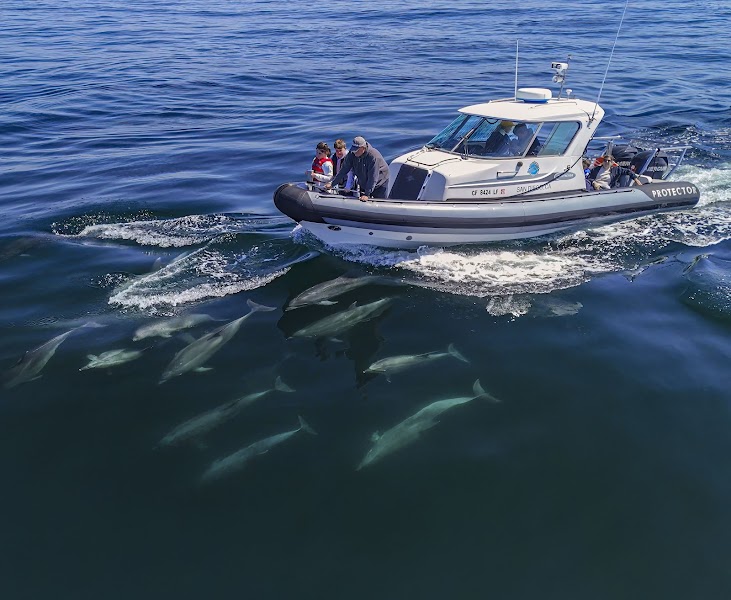 Big Blue Photo Boat