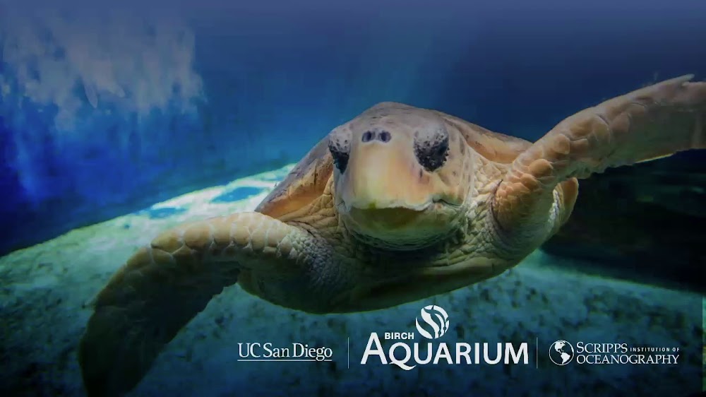 Birch Aquarium