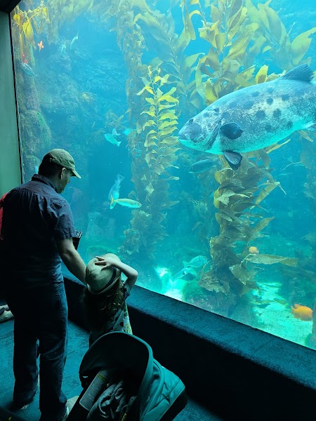 Birch Aquarium
