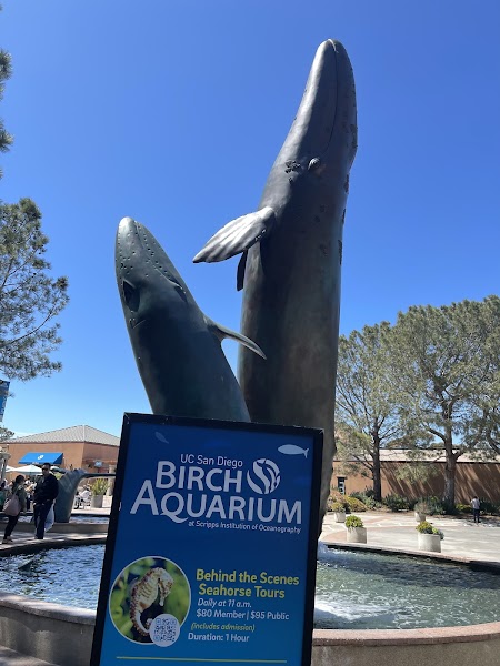 Birch Aquarium