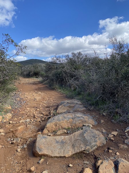 Black Mountain Summit
