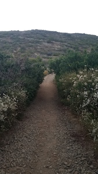 Black Mountain Trail