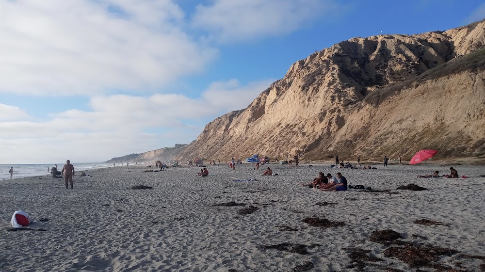 Black's Beach