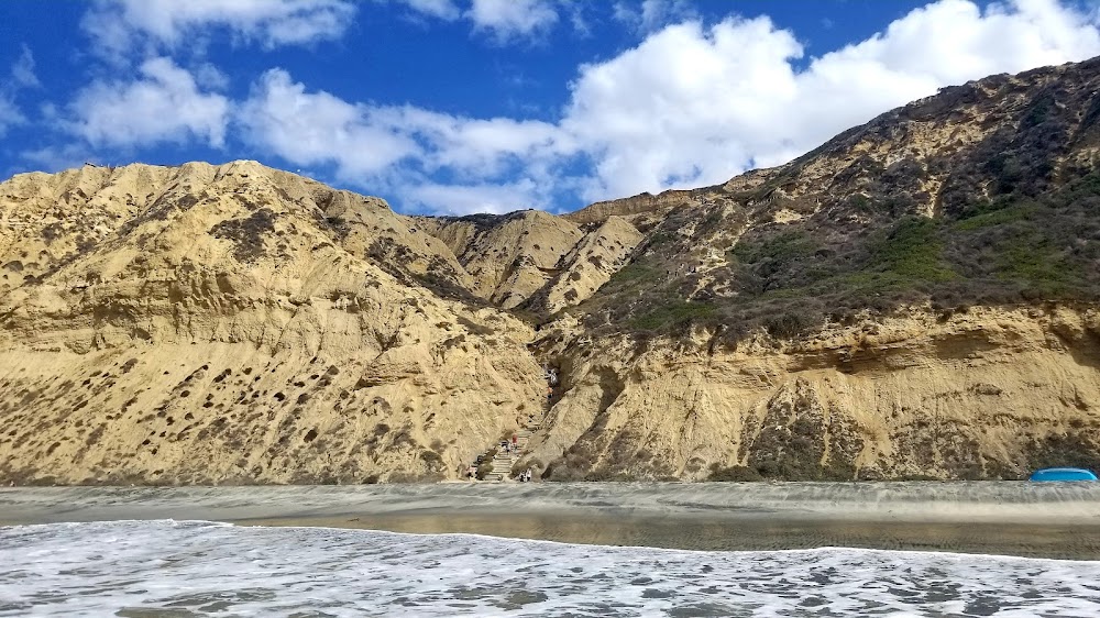 Black's Beach
