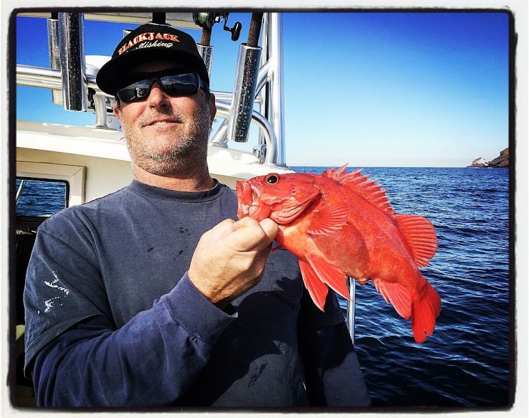 Blackjack Sport Fishing