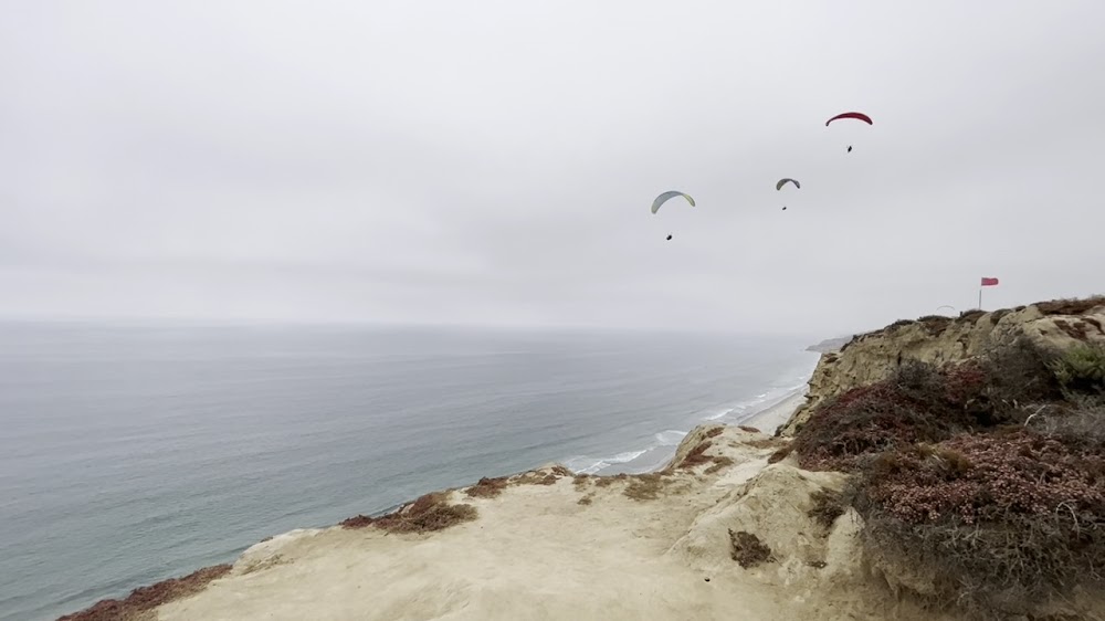 Blacks Beach Park