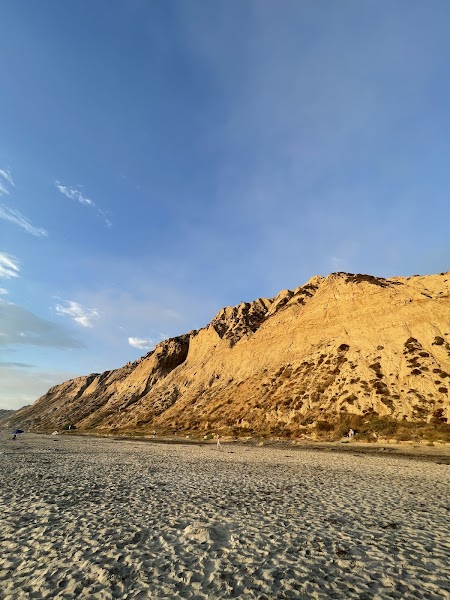 Blacks Beach Park