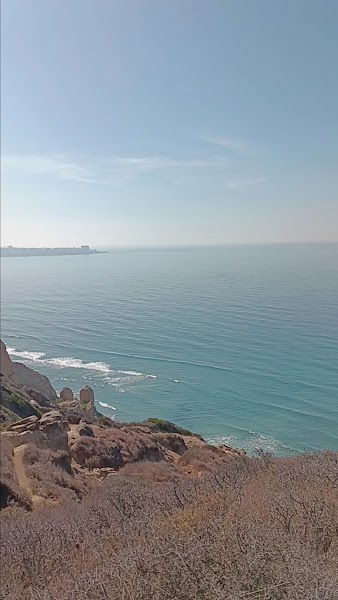 Blacks Beach Trail