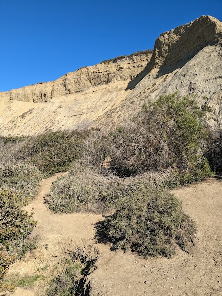 Blacks Beach Trail