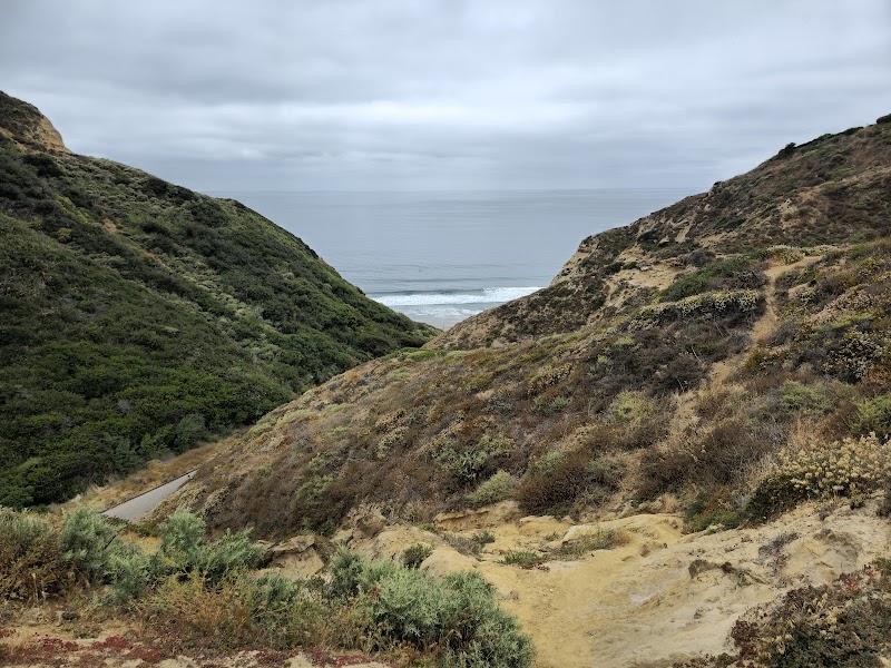 Blacks Beach Trailhead