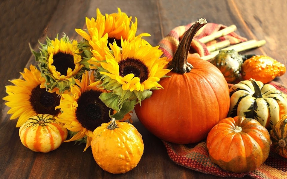 "Bloom Again," the RSF Garden Club Upscale Resale Shop