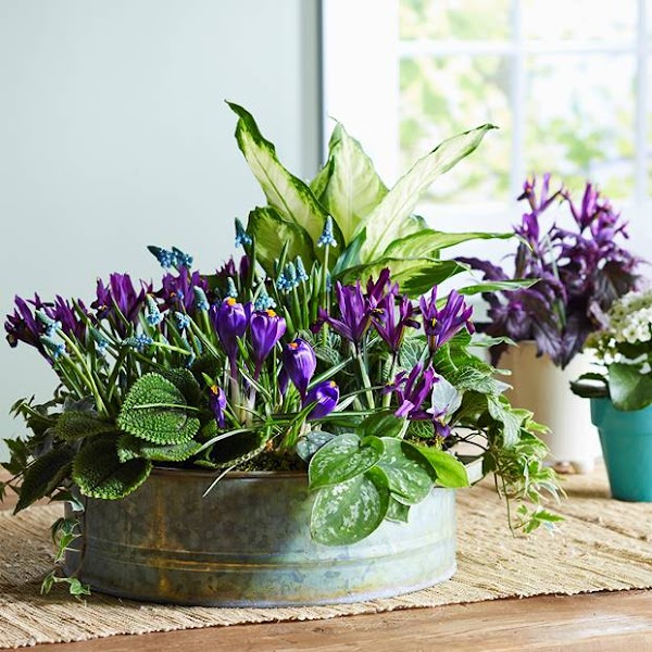 "Bloom Again," the RSF Garden Club Upscale Resale Shop