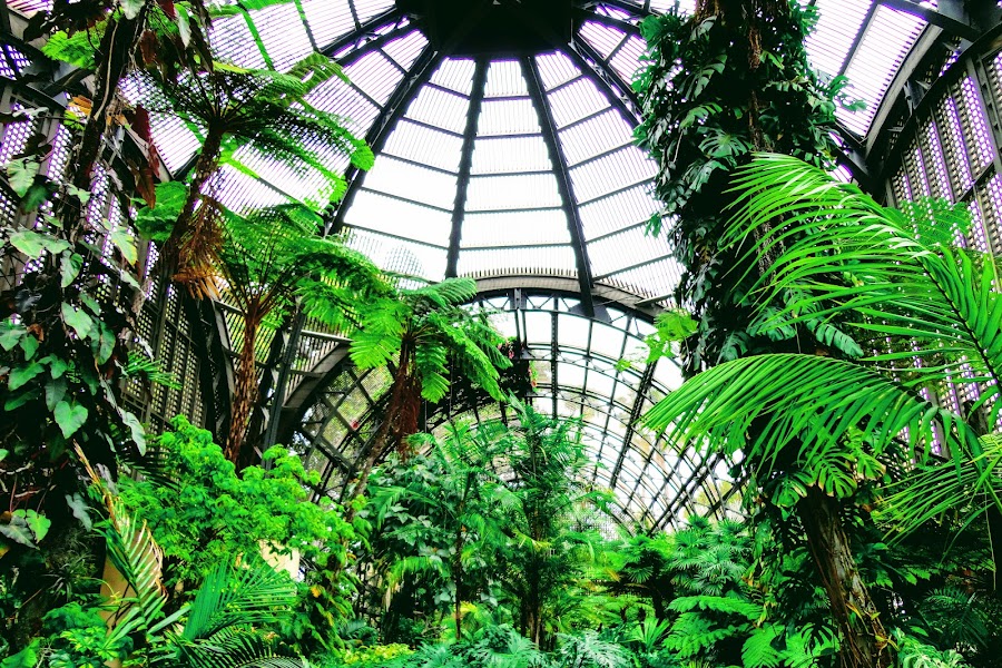 Botanical Building