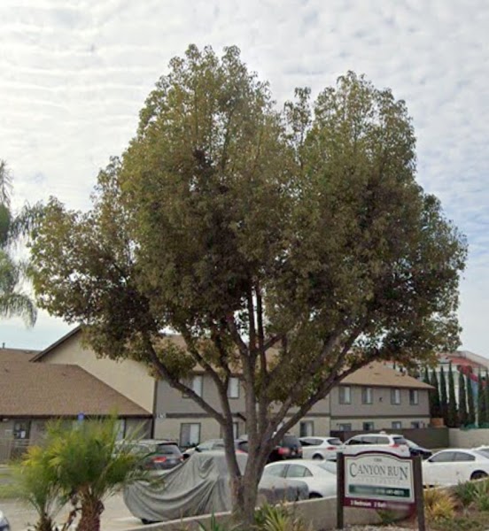 Brenda's Home Daycare