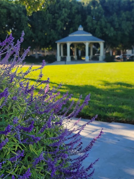 Bressi Ranch Gazebo Park