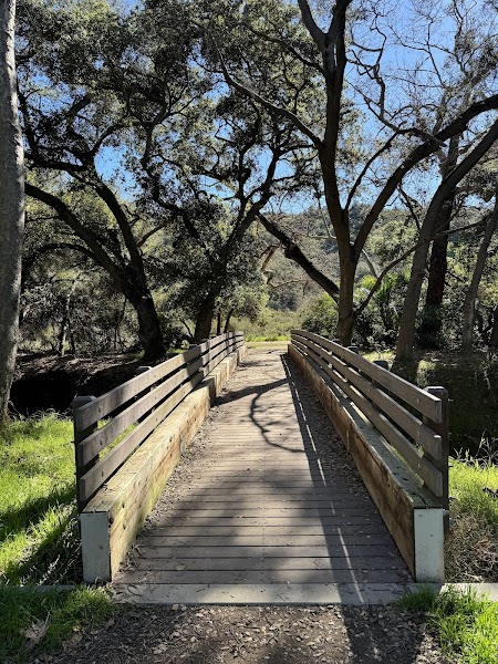 Buena Vista Park