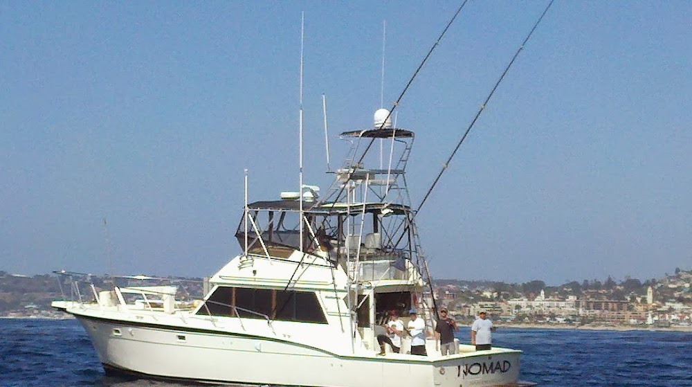 California Shark Fishing