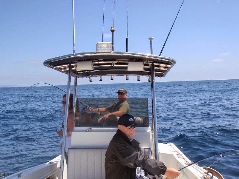 California Shark Fishing
