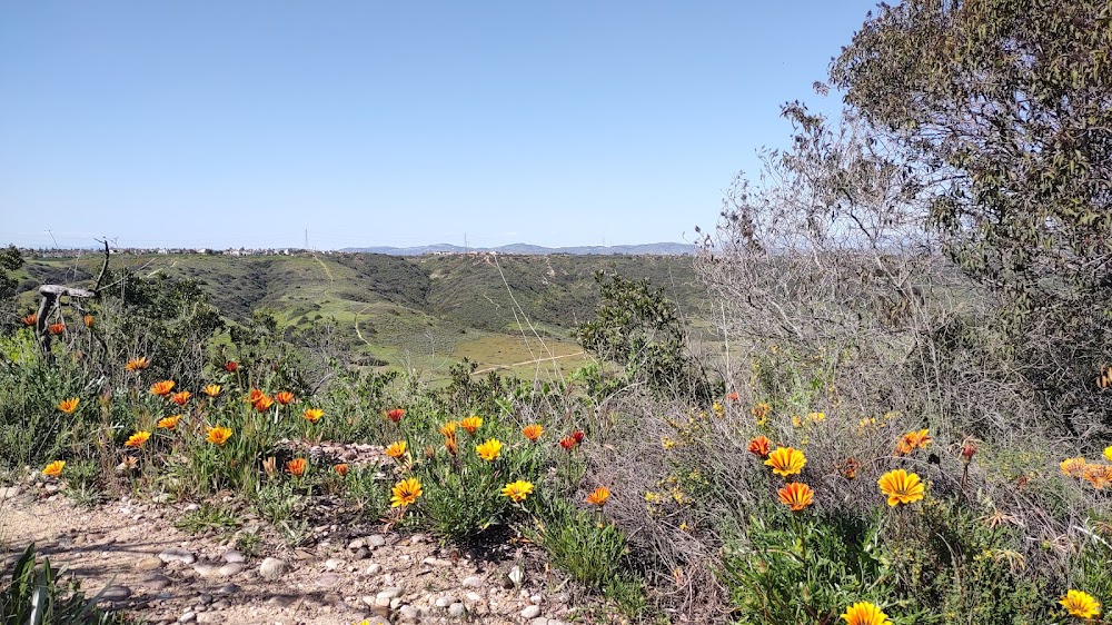 Canyon Overlook Sunset Point