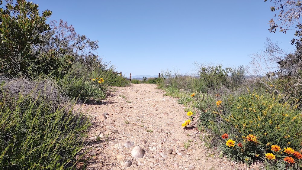 Canyon Overlook Sunset Point