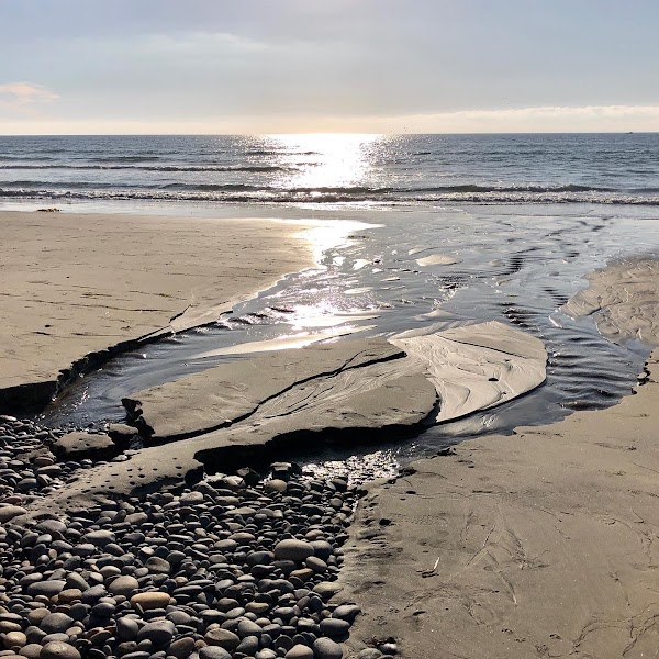 Carlsbad State Beach