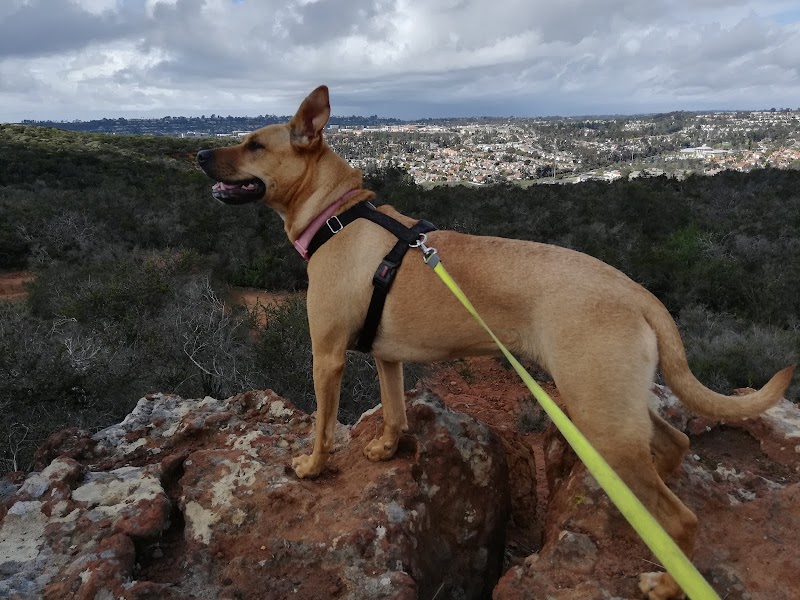 Carmel Mountain Preserve Overlook - East Viewpoint