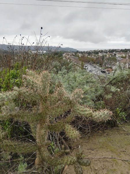 Carmel Mountain Preserve
