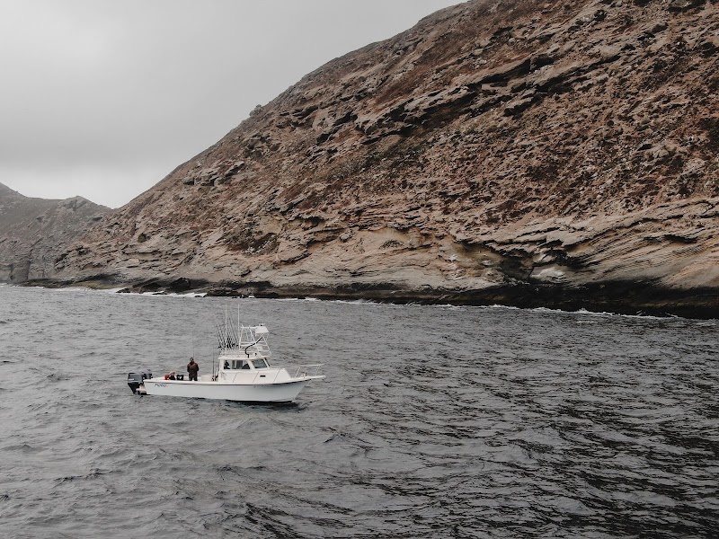 Catch Sportfishing