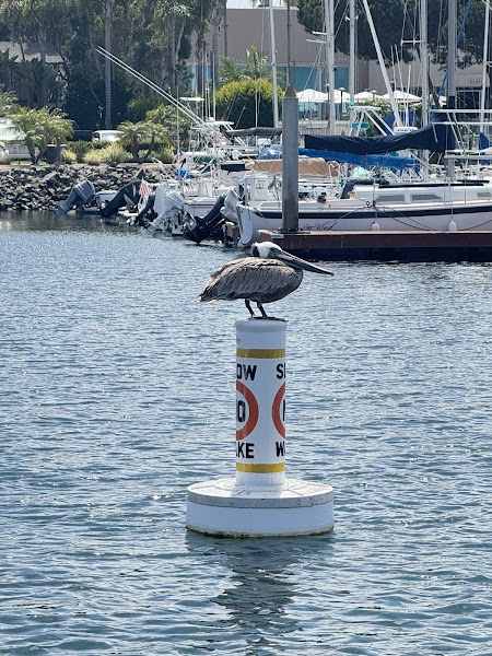 Catch Sportfishing