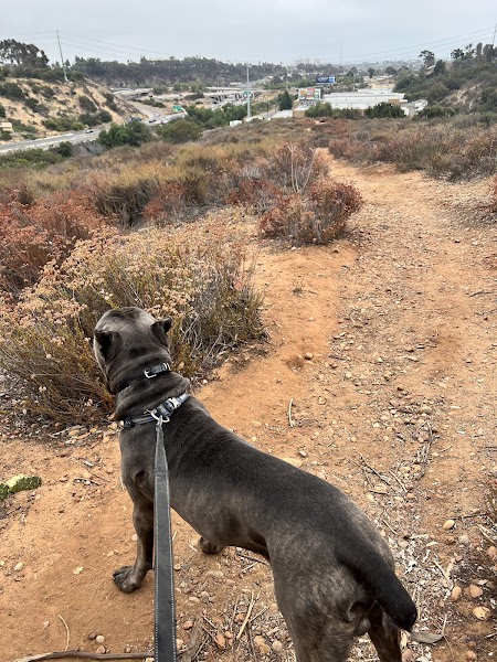 Cedar Ridge Park