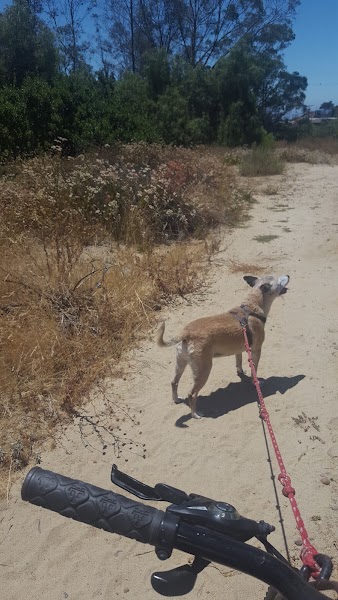 Cedar Ridge Park