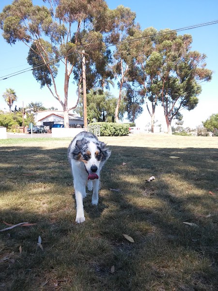 Cedar Ridge Park